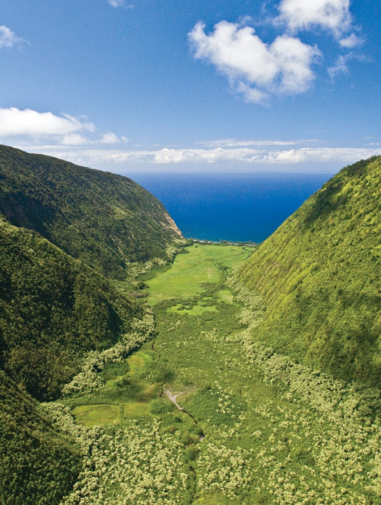 The serene landscape of The Place of Refuge, Waipio Valley. Kona's dense, cultural texture reflects the wild complexity of the youngest of the Hawaiian Islands. People use legends to understand their world — and when you live on an active volcano, understanding is absolutely essential.  